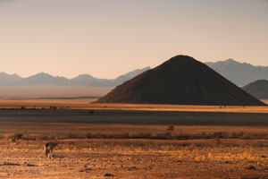 Gemsbok, Sonop, NamibRand