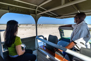 Game Drive, Etosha National Park