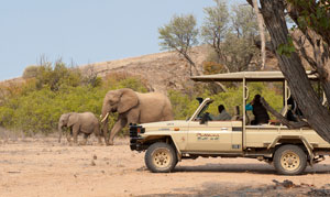 Mowani Game Drive