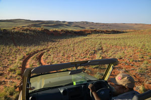 Namib Desert Lodge dune drive