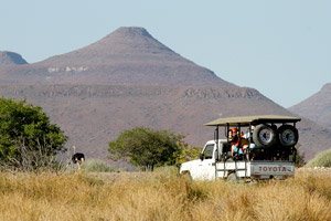 Palmwag Game Drive