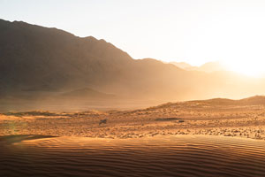 gemsbok, Namib Rand