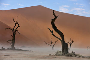 Deadvlei