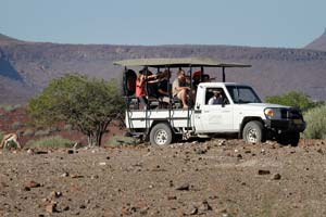 Palmwag Game Drive