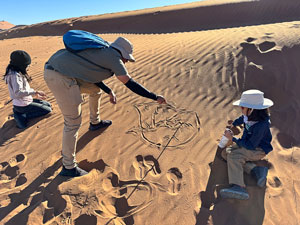 Namib desert dune art