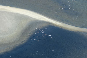 Skeleton coast, aerial view