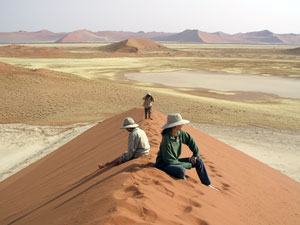 Skeleton Coast dunes