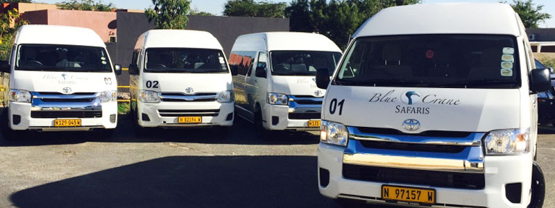 Luxury bus shuttle